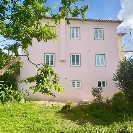 Pink-shell Bed & Breakfast 3*